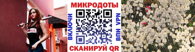 Псилоцибиновые грибы мицелий цена наркотик Краснозаводск